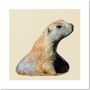 Prairie dog pop up Posters and Art